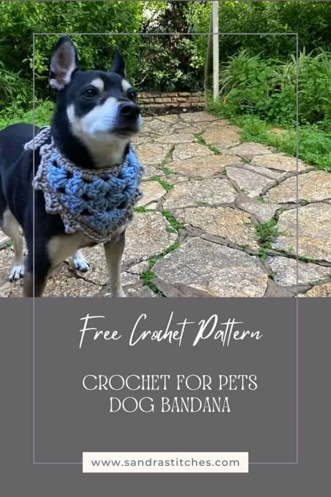 crochet for pets - bandana