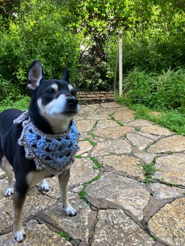 crochet for pets dog bandana pattern
