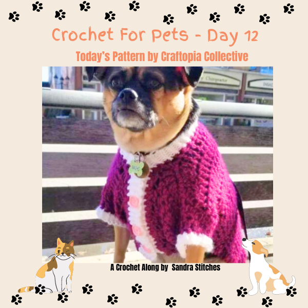 crochet for pets day 12