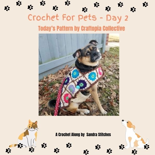 crochet for pets -day 2
