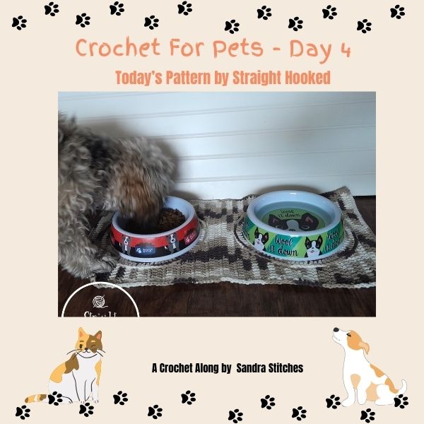 crochet for pets day 4
