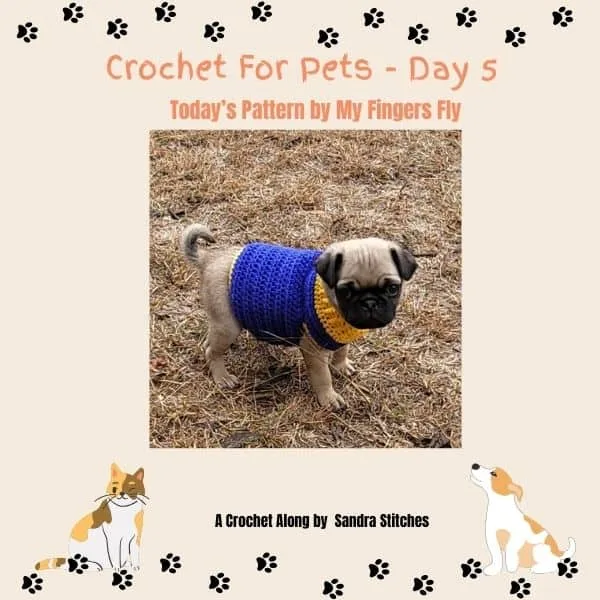 crochet for pets day 5