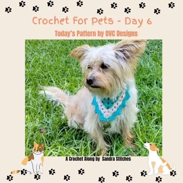 crochet for pets -day 6