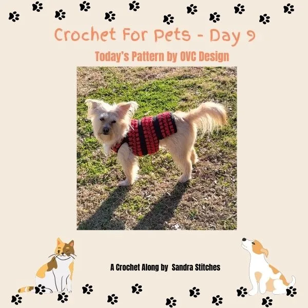 crochet for pets -day 9