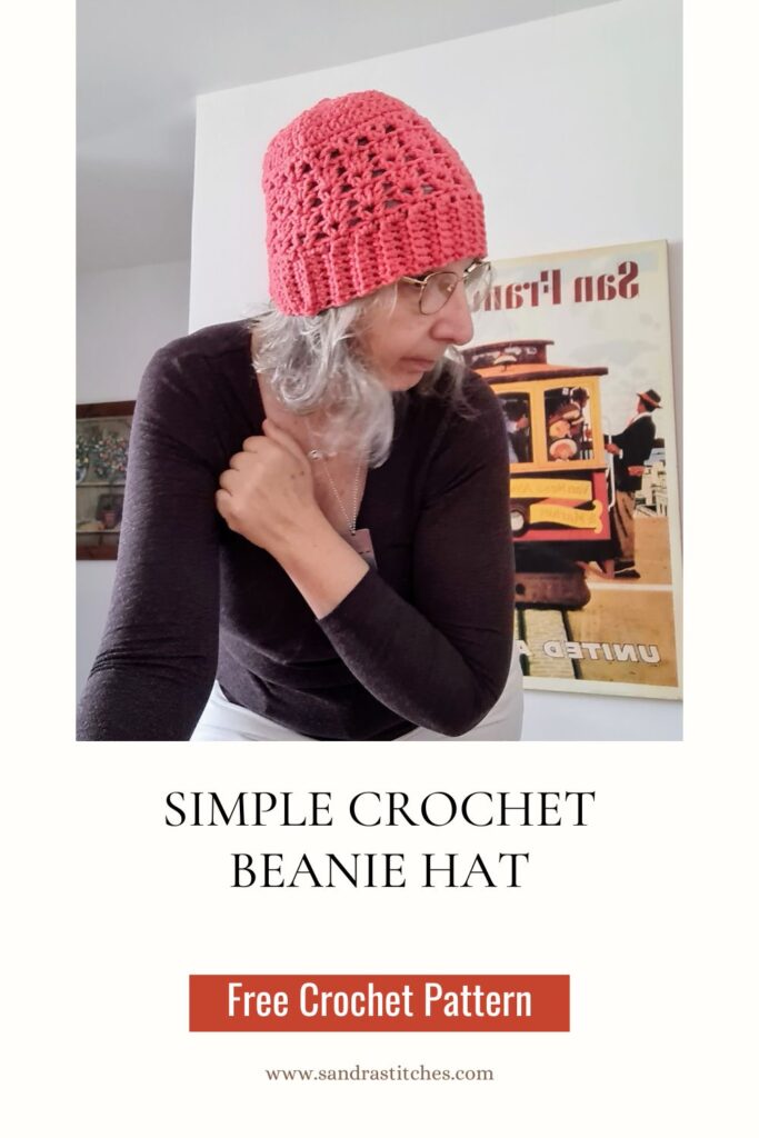 crochet v stitch beanie hat pattern