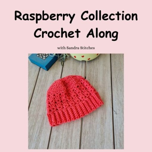 raspberry collection - beanie