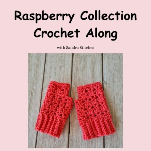 raspberry collection - fingerless gloves
