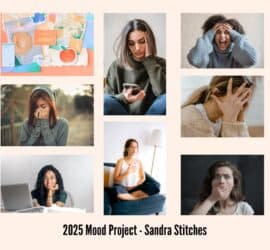 2025 crochet mood project - sandra stitches