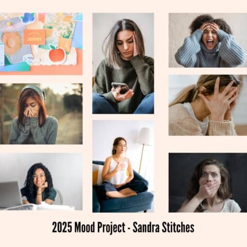 2025 crochet mood project - sandra stitches