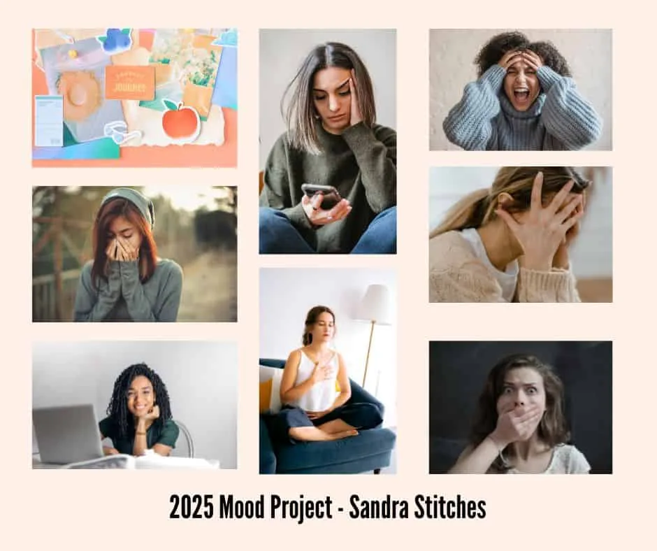 2025 crochet mood project - sandra stitches