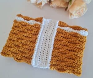 almond st crochet cowl- busy bee 1