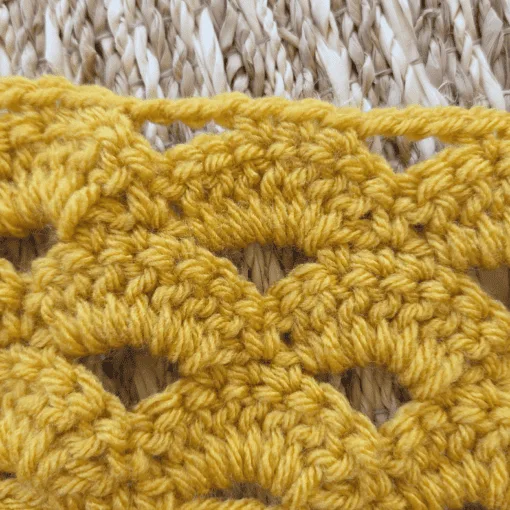 Close up of arcade stitch fan and chain three space